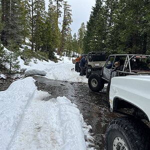 IMG_8083.jpg