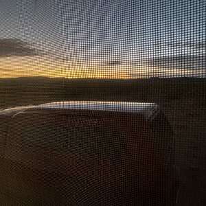 IMG_4211.jpeg