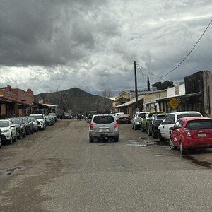IMG_4231.jpeg
