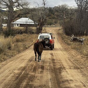 IMG_4285.jpeg