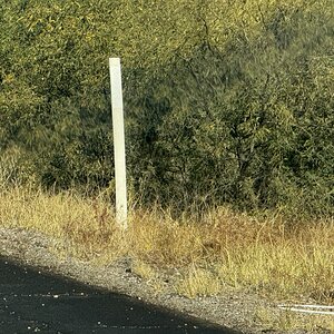 IMG_4297.jpeg