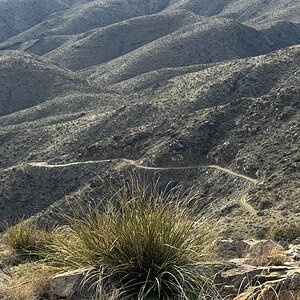 IMG_4477.jpeg