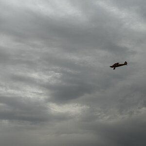 IMG_4510.jpeg