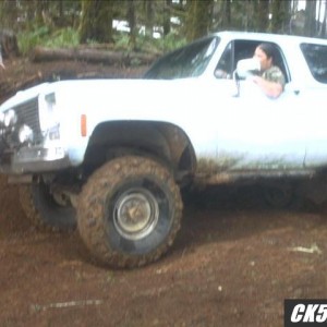 mudhog8