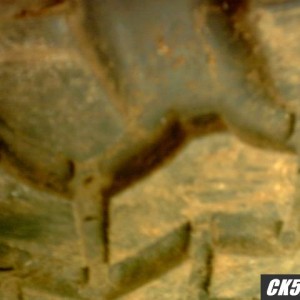 tire2