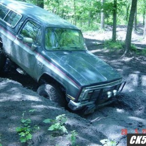 Matt's beast