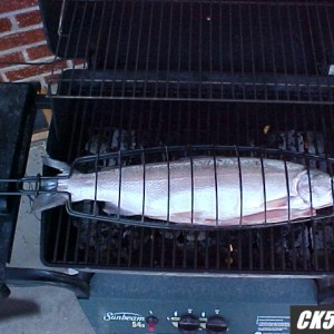 BBQfish