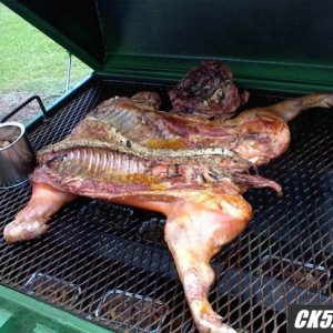 BBQ pig