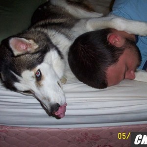 loki3