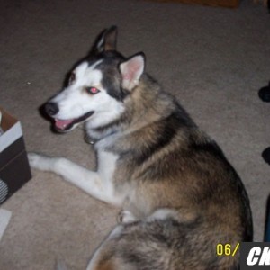 loki5