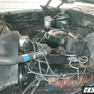 upper rad hose