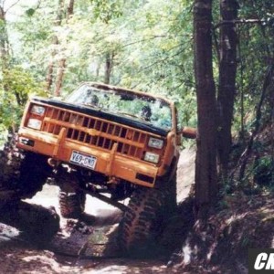 Spring_Creek04_Medium_