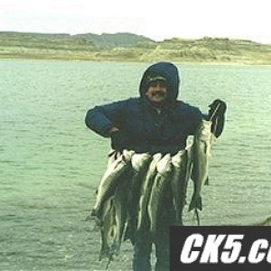 bass