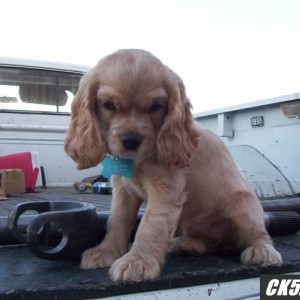 yukon4