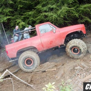 Orange Crush
