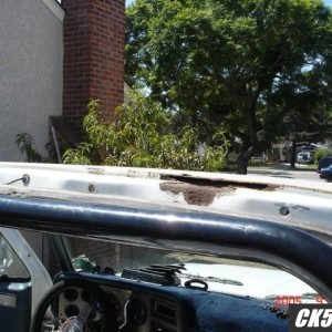 Roof_Cancer