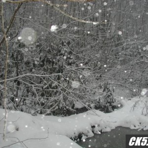 Scenery_Shot_8_2001