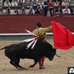 bullfight3