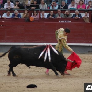 bullfight4