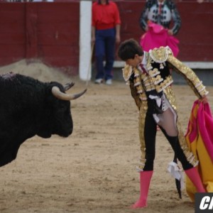 bullfight5