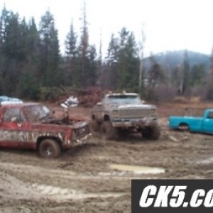 5GMCwithCars