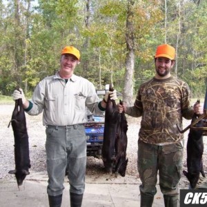 wild hogs