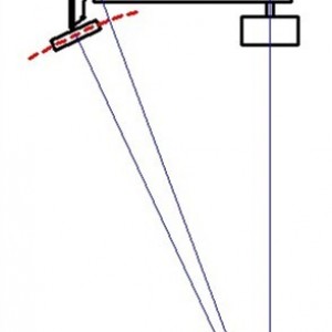 steer