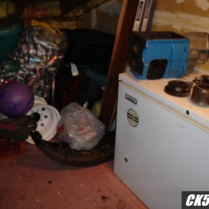DSC00239