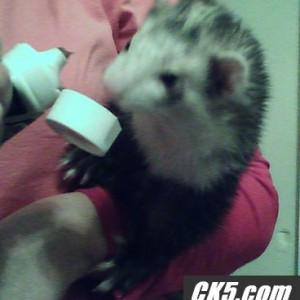 Jocko stuffing his face