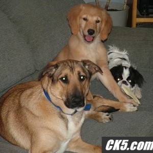 Caught_on_couch