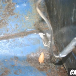Mikes_pics_020