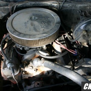 Mikes_pics_036