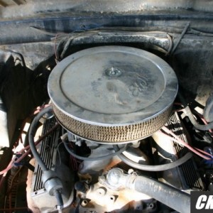 Mikes_pics_039