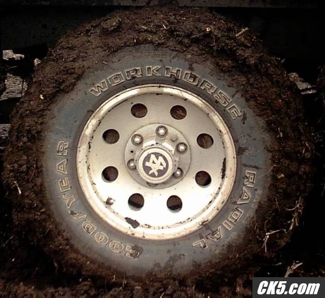01GMCWORKHORSE_Radial