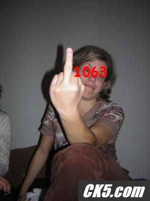 1063bird