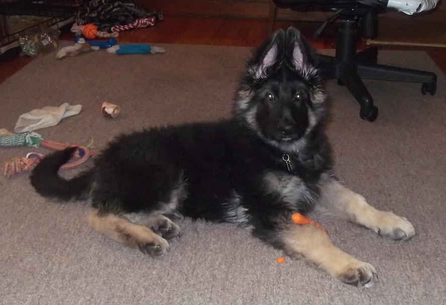 12 weeks