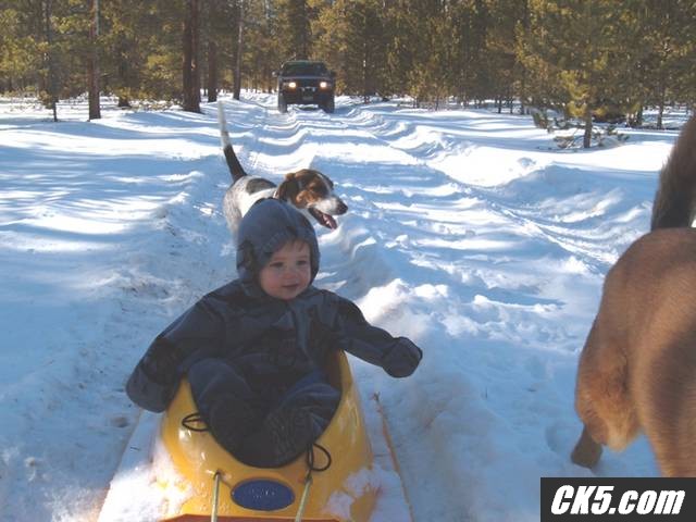 17875Liam_on_sled