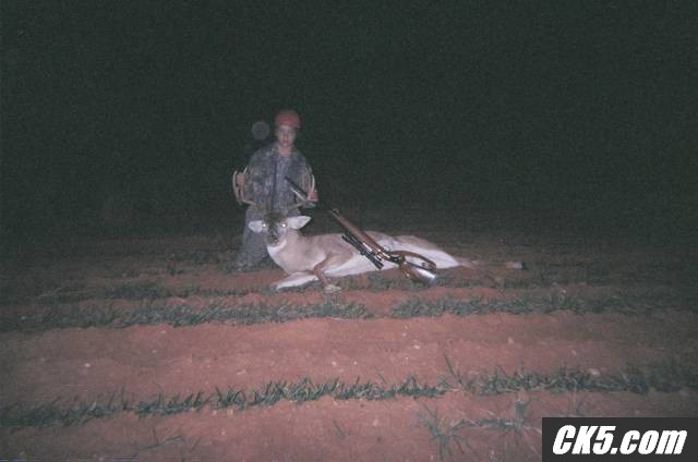 2006 DEER PICS