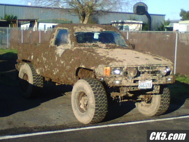 2t