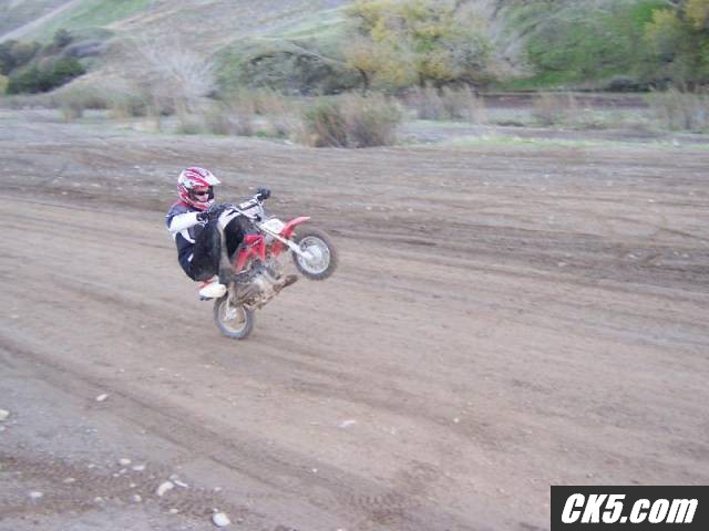 50 wheelie