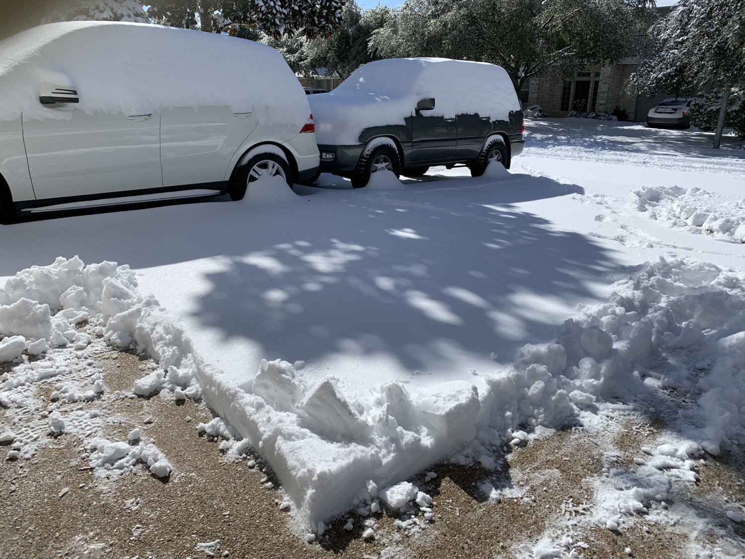 6" Snowfall