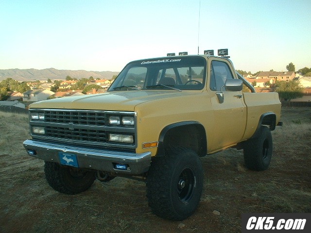 81 K10