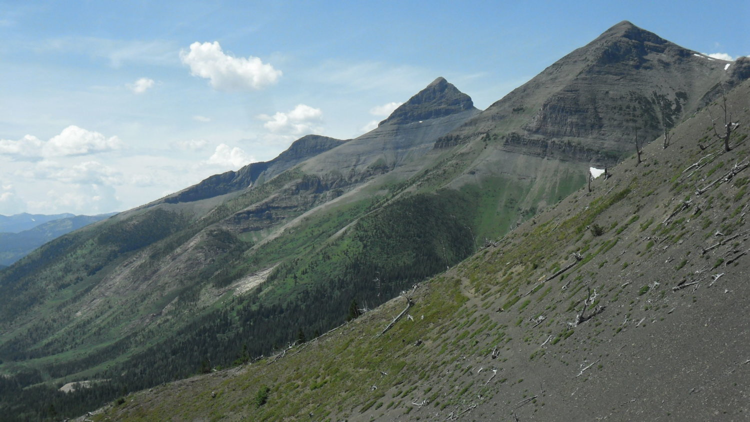 85GMCJD view from middle kooteney pass