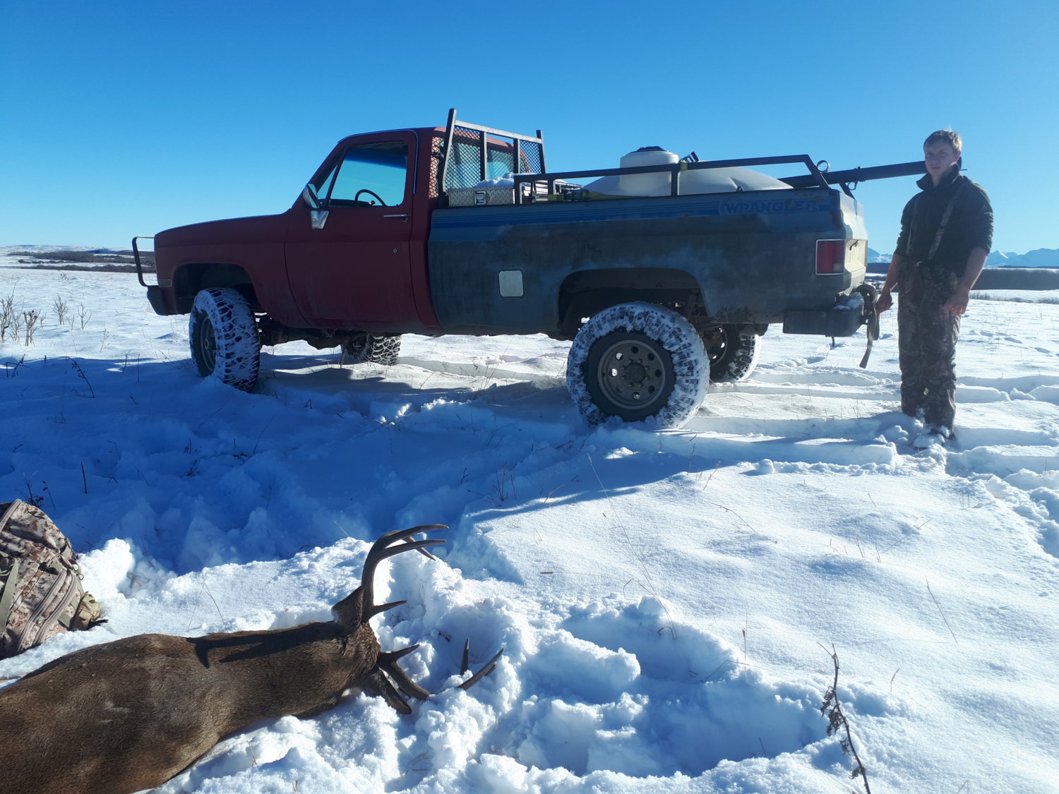 A nice whitetail buck my boy tagged on his way to get a tank of water for the cabin