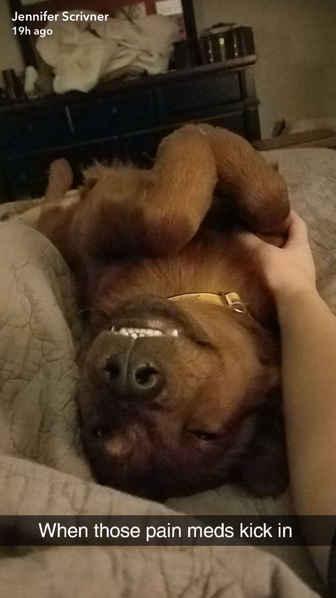 All smiles
