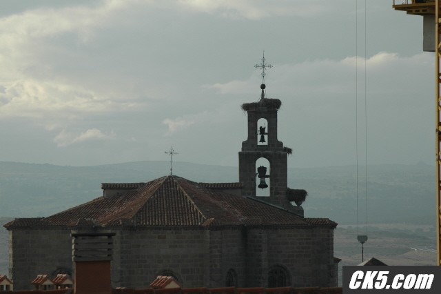 avila stork nest