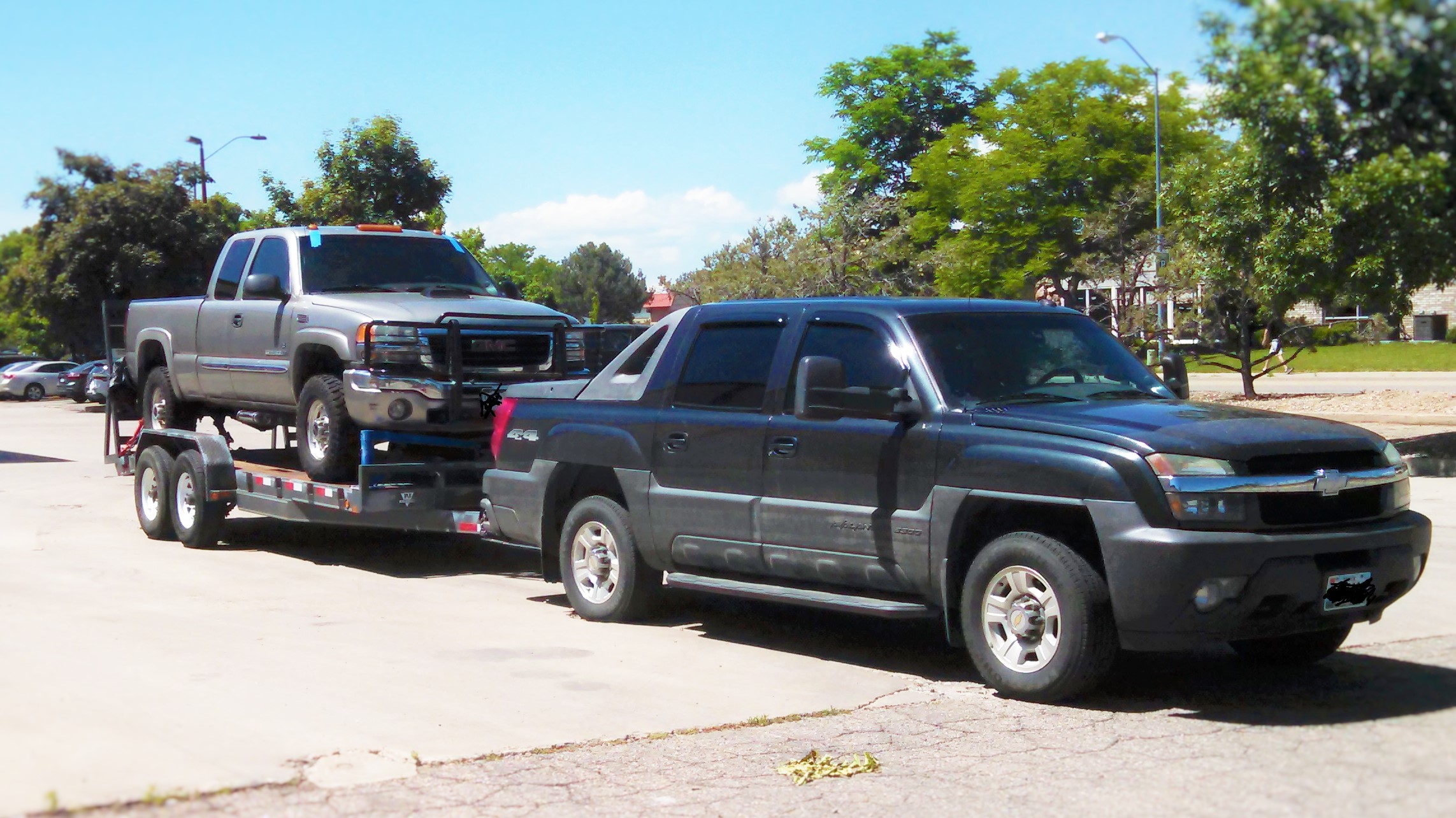 avy and gmc