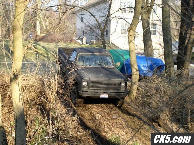 backyard21