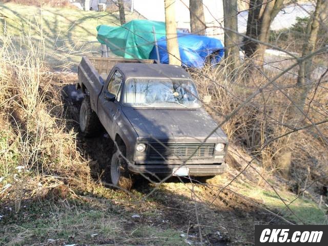 backyard41