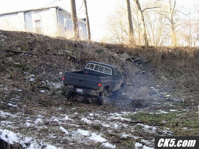 backyard7